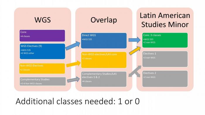 Women and Gender Studies Pathway to Minor